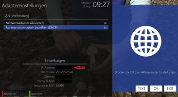 Netzwerk einstellen